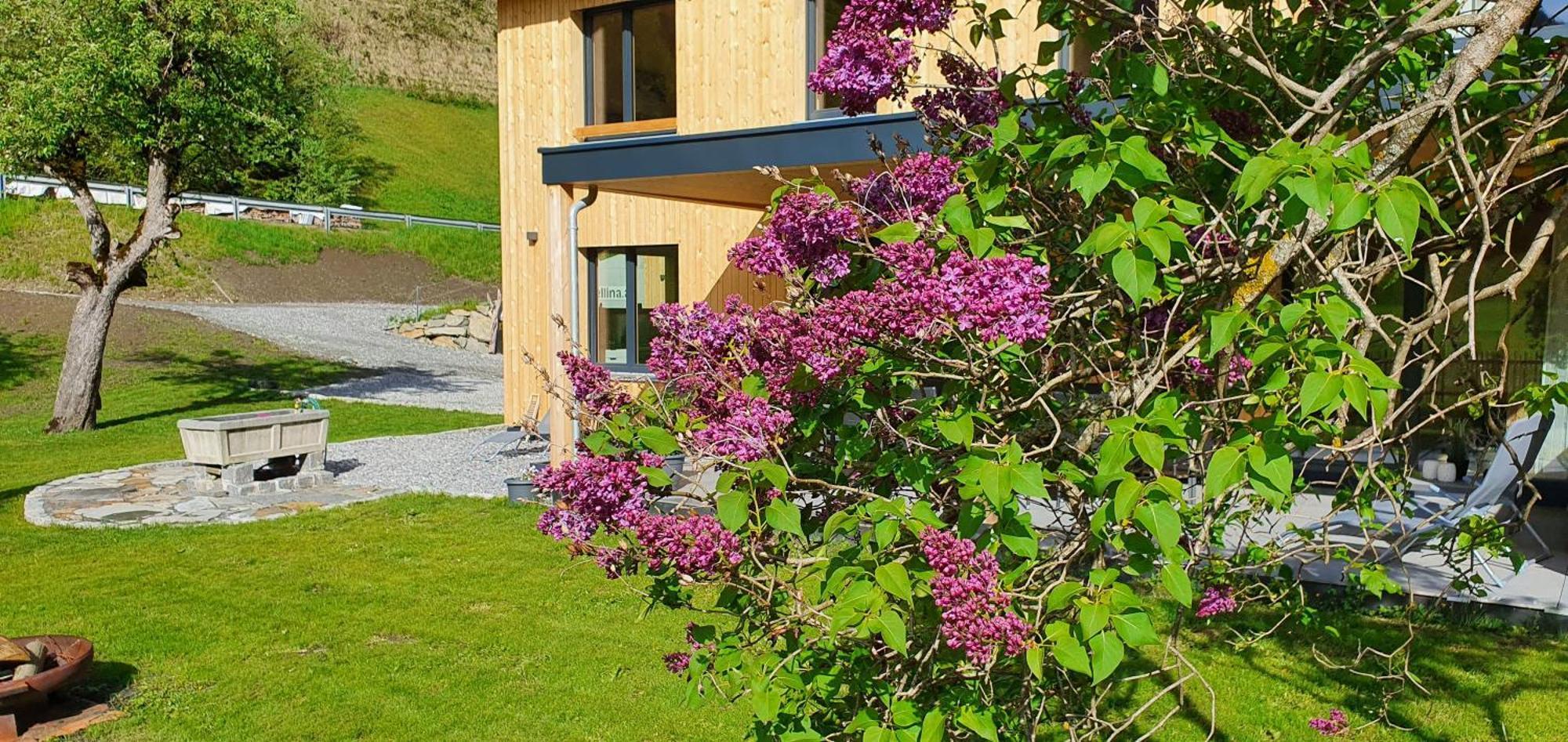 Вилла Haus Valtellina Galgenul Экстерьер фото